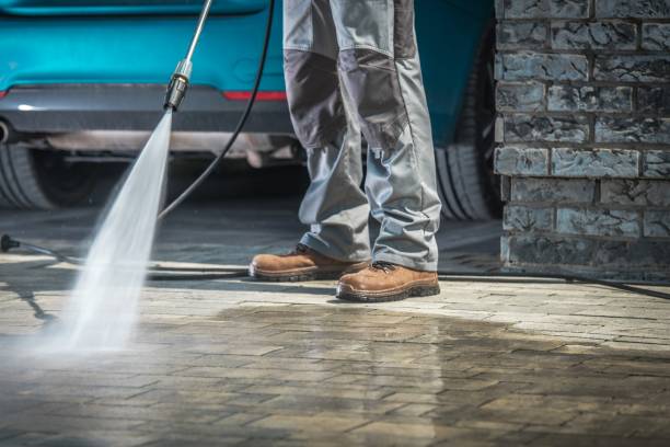 Best Spring Cleaning  in Glenmont, MD