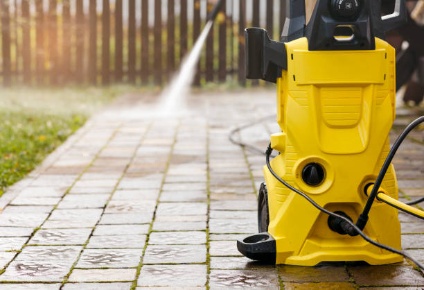 Animal Enclosure Cleaning in Glenmont, MD
